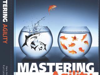 Agility! Power in Mastering Business Agility